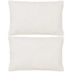 DéCOSHOP26 Lot De 2 Coussins Décoratifs En Tissu Velours Blanc Cassé 40 X 60 Cm - Or