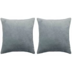 DéCOSHOP26 Lot De 2 Coussins Décoratifs En Tissu Velours Gris 60 X 60 Cm - Or