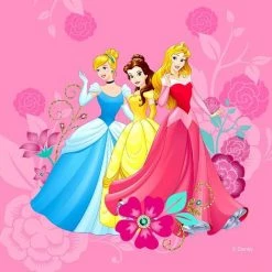 AG ART Coussin Princesses 2 Faces Disney 40x40 Cm - Multicolor