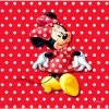 AG ART Coussin Minnie Mouse 2 Faces Disney 40x40 Cm - Multicolor