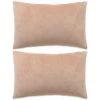 Hommoo Jeu De Coussin 2 Pcs Velours 40 X 60 Cm Beige HDV01987