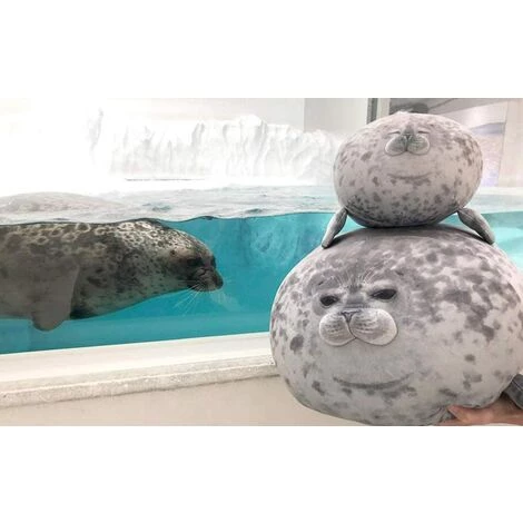 BARES Oreiller De Phoque, Peluche Moelleuse Douce Ocean Animal, Coussin En Peluche Cutton, Jouet Mignon Pour Les Enfants 3 BARES Oreiller De Phoque, Peluche Moelleuse Douce Ocean Animal, Coussin En Peluche Cutton, Jouet Mignon Pour Les Enfants – Image 3