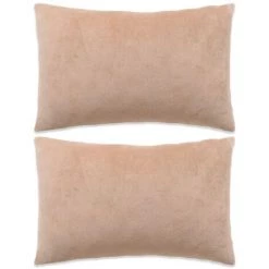TRUE DEAL Jeu De Coussin 2 Pcs Velours 40 X 60 Cm Beige