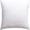 LangRay Coussin Nude, 45 X 45 Cm (17,7 X 17,7 Pouces), Insert En Velours, Insert De Coussin, Type De Dossier, Lavable, Moelleux, (blanc)