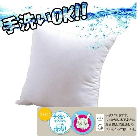 LangRay Coussin Nude, 45 X 45 Cm (17,7 X 17,7 Pouces), Insert En Velours, Insert De Coussin, Type De Dossier, Lavable, Moelleux, (blanc) 3 LangRay Coussin Nude, 45 X 45 Cm (17,7 X 17,7 Pouces), Insert En Velours, Insert De Coussin, Type De Dossier, Lavable, Moelleux, (blanc) – Image 3