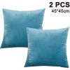 LONGZIMING Lot De 2, Velours Doux Décoratif Carré Coussin Housse De Coussin Couvre Taie D'oreiller, Décorations Pour La Maison Canapé Canapé Lit Chaise