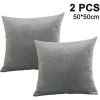 LONGZIMING Lot De 2, Velours Doux Décoratif Carré Coussin Housse De Coussin Couvre Taie D'oreiller, Décorations Pour La Maison Canapé Canapé Lit Chaise