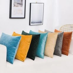LONGZIMING Lot De 2, Velours Doux Décoratif Carré Coussin Housse De Coussin Couvre Taie D'oreiller, Décorations Pour La Maison Canapé Canapé Lit Chaise -France Coussin et housse de coussin Soldes Boutique 27992187 4