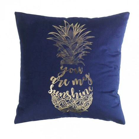 Paris Prix - Coussin Déhoussable "my Sunshine" 45x45cm Bleu 1 Paris Prix - Coussin Déhoussable "my Sunshine" 45x45cm Bleu