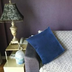 AIDUCHO Velours Housse De Coussin 50x50 Cm Décoratif Canapé Home Decor Taie D'oreiller Super Doux Decoration Maison Salon Chambre Pour Canapé - Bleu Marine 8 AIDUCHO Velours Housse De Coussin 50x50 Cm Décoratif Canapé Home Decor Taie D'oreiller Super Doux Decoration Maison Salon Chambre Pour Canapé - Bleu Marine -France Coussin et housse de coussin Soldes Boutique 33719986 4