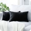 TRIOMPHE Lot De 2 Housse De Coussin 30x50cm Décoratif Canapé En Chenille Housses Coussin Decoration Chambre Carré Couleur Uni Pour Chaise,Voiture,Bureau, Noir