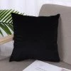 TRIOMPHE Lot De 2 Housse De Coussin 45x45cm Décoratif Canapé En Chenille Housses Coussin Decoration Chambre Carré Couleur Uni Pour Chaise,Voiture,Bureau, Noir