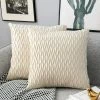 TRIOMPHE Housses Coussin En Velours 40x40cm Pour Salon Canapé，Lot De 2 Housses Coussin Carrés De Motif Uni Décoration Chambre