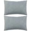 ASUPERMALL Jeu De Coussin 2 Pcs Velours 40 X 60 Cm Gris