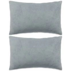 ASUPERMALL Jeu De Coussin 2 Pcs Velours 40 X 60 Cm Gris