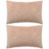 ASUPERMALL Jeu De Coussin 2 Pcs Velours 40 X 60 Cm Beige