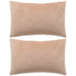 ASUPERMALL Jeu De Coussin 2 Pcs Velours 40 X 60 Cm Beige