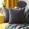 HANBING Lot De 2 Housses De Coussin Granulés Ananas Doux Solide Décoratif Carré Taies D'oreiller Coussins Pour Canapé Chambre Voiture 16 "x16", 40 X 40 Cm Gris Foncé