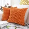 BEARSU Lot De 2, Coussin Décoratif Carré En Velours Côtelé Doux Housses De Coussin Taie D'oreiller, Décorations D'intérieur Pour Canapé Canapé-lit Chaise 18x18 Pouces/45x45 Cm (Granules Orange)