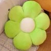 AIDUCHO Oreiller De Sol à Fleurs Mignon Coussin De Décoration Indie Oreiller Pour Filles Jouets En Peluche Pour Enfants Lecture De Coin Pour Regarder La Télévision (Vert, 30cm)