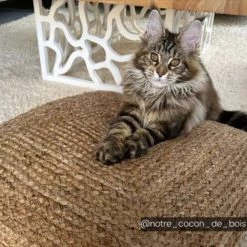 OZAIA Coussin De Sol En Jute Tissé à La Main ZAMBAI - L62 X P62 X H29 Cm - Naturel - Naturel Clair 7 OZAIA Coussin De Sol En Jute Tissé à La Main ZAMBAI - L62 X P62 X H29 Cm - Naturel - Naturel Clair -France Coussin et housse de coussin Soldes Boutique 55885120 3