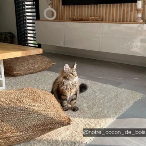 OZAIA Coussin De Sol En Jute Tissé à La Main ZAMBAI - L62 X P62 X H29 Cm - Naturel - Naturel Clair 4 OZAIA Coussin De Sol En Jute Tissé à La Main ZAMBAI - L62 X P62 X H29 Cm - Naturel - Naturel Clair – Image 4