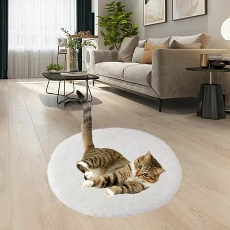 Lot De 2 Coussins De Chaise 45,7 X 45,7 Cm FUIENKO 3 Lot De 2 Coussins De Chaise 45,7 X 45,7 Cm FUIENKO – Image 3