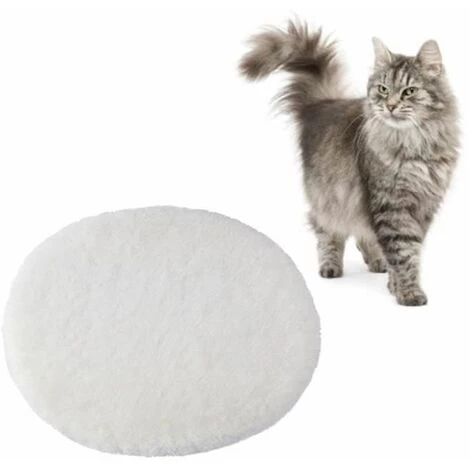 Lot De 2 Coussins De Chaise 45,7 X 45,7 Cm FUIENKO 4 Lot De 2 Coussins De Chaise 45,7 X 45,7 Cm FUIENKO – Image 4