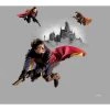 AG ART Coussin - Harry Potter Sur Son Balais - 40 Cm X 40 M - Multicolor