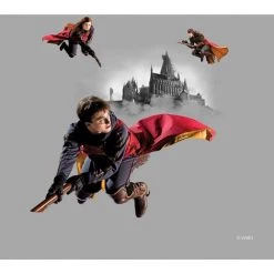 AG ART Coussin - Harry Potter Sur Son Balais - 40 Cm X 40 M - Multicolor