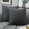 ZOLGINAH Housses Coussin En Velours 50x50cm Pour Salon Canapé，Lot De 2 Housses Coussin Carrés De Motif Uni Décoration Chambre, Gris