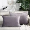 LITZEE Housse De Coussin, Lot De 2, Housses De Coussin Décoratives Carrées En Velours Doux Solide, Housses De Coussin Euro Pour Ferme, Canapé, Intérieur Et Extérieur, 60*70cm,Gris