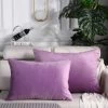 LITZEE Housse De Coussin, Lot De 2, Housses De Coussin Décoratives Carrées En Velours Doux Solide, Housses De Coussin Euro Pour Ferme, Canapé, Intérieur Et Extérieur, 30 X 50 Cm,Violet