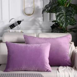 LITZEE Housse De Coussin, Lot De 2, Housses De Coussin Décoratives Carrées En Velours Doux Solide, Housses De Coussin Euro Pour Ferme, Canapé, Intérieur Et Extérieur, 60*80cm,Violet