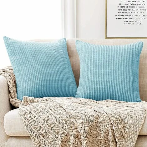 MERéTéET Lot De 2 Housse De Coussin Bleu Ciel 45x45cm En Velours Pour Maison Salon Chambre Confortable 1 MERéTéET Lot De 2 Housse De Coussin Bleu Ciel 45x45cm En Velours Pour Maison Salon Chambre Confortable