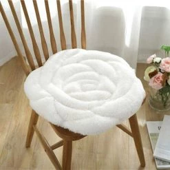 BDD Coussin Rond De Coussin De Chaise D'étudiant En Peluche Rose épaissi (blanc)